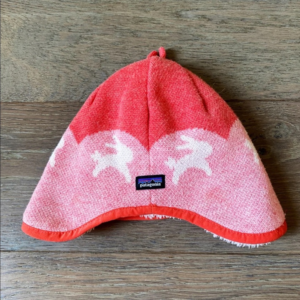 Patagonia Beanie